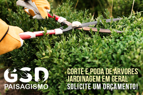 gsd paisagismo